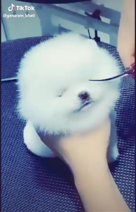 @Aaru