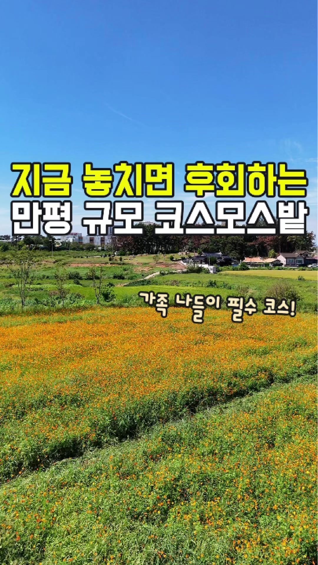 @대전토박이