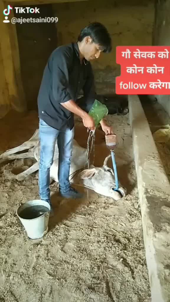 @sainiajeet390