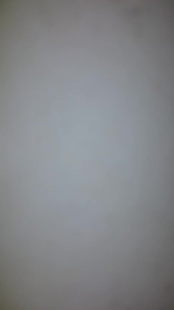 @duck