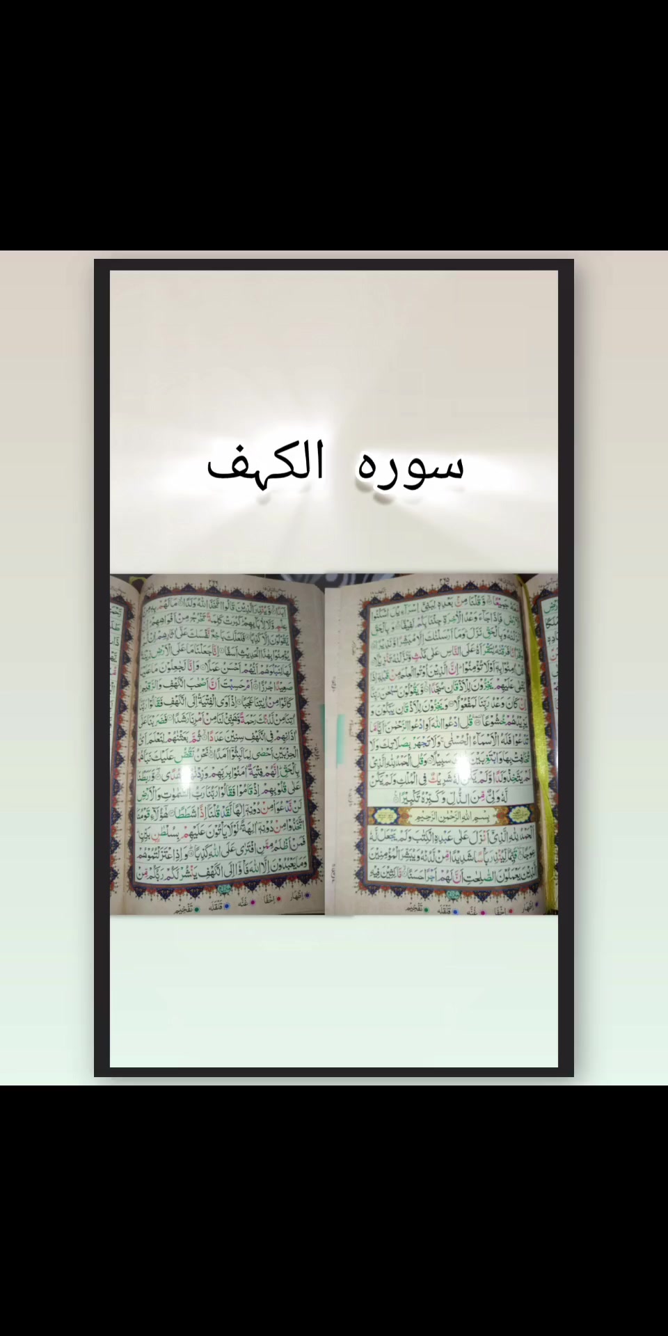 @zar_e_nayaab
