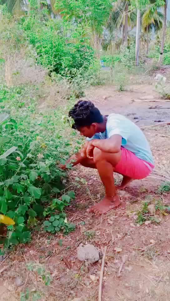 @@chiyanpugal143