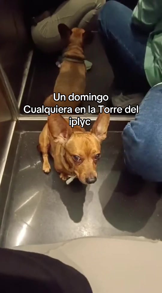 @Antonela Ramirez