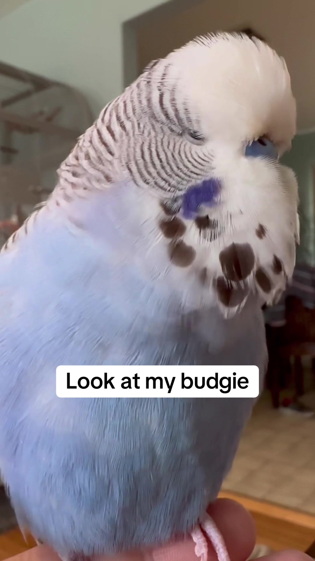 @Rupeedoo