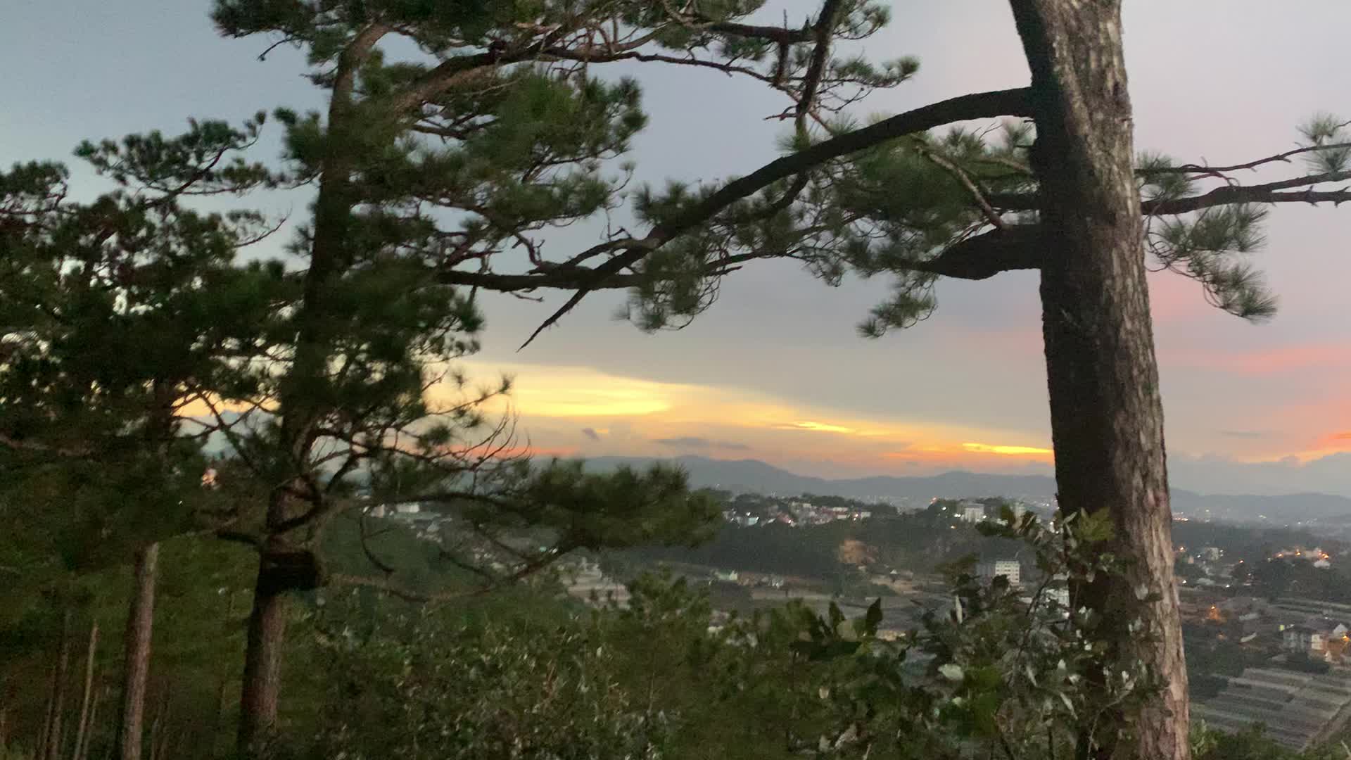 @Alice Trương