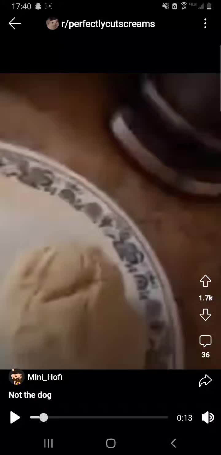 @RedditInSummation