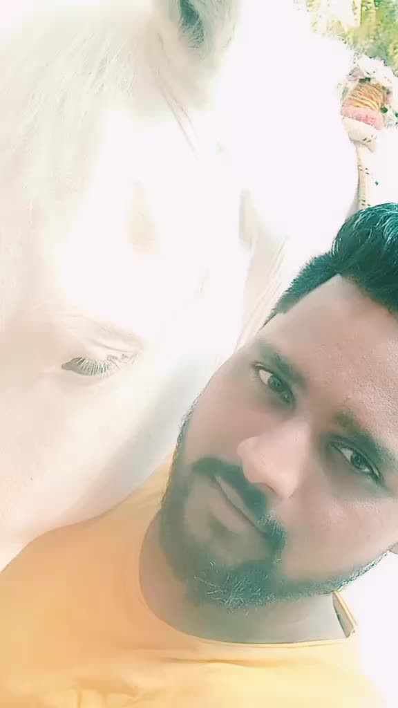 @Kishu Banna