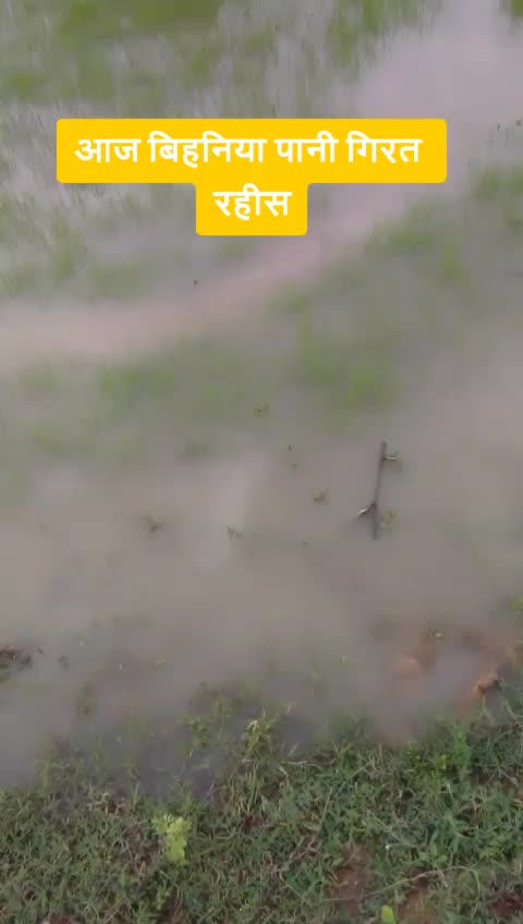 @कोयतुर राम ओरकेरा750
