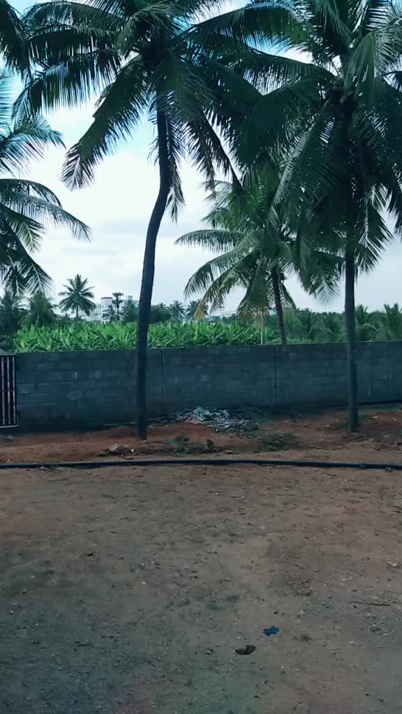 @nagu 200