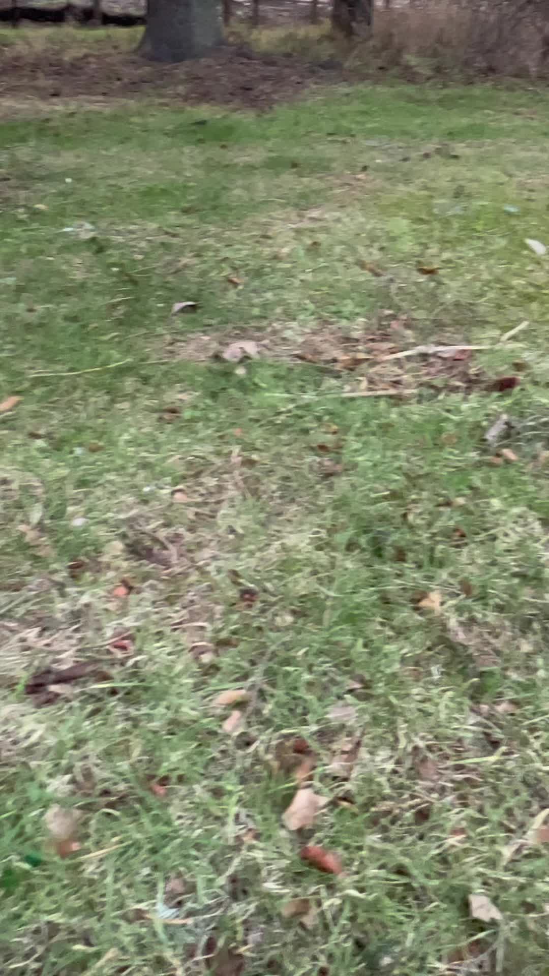 @｡･:*˚:✧｡𝗞𝗜𝗔𝗥𝗘𝗬𝗔