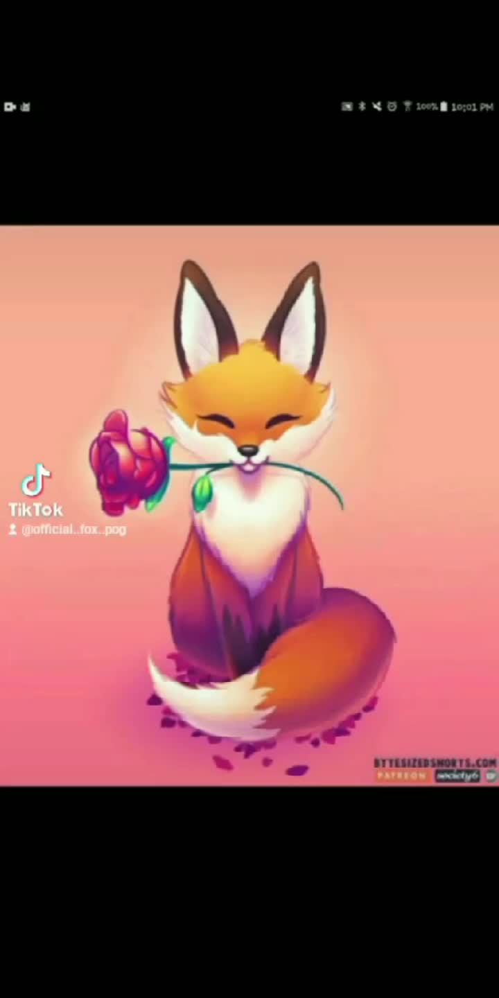 @fox ๐โ