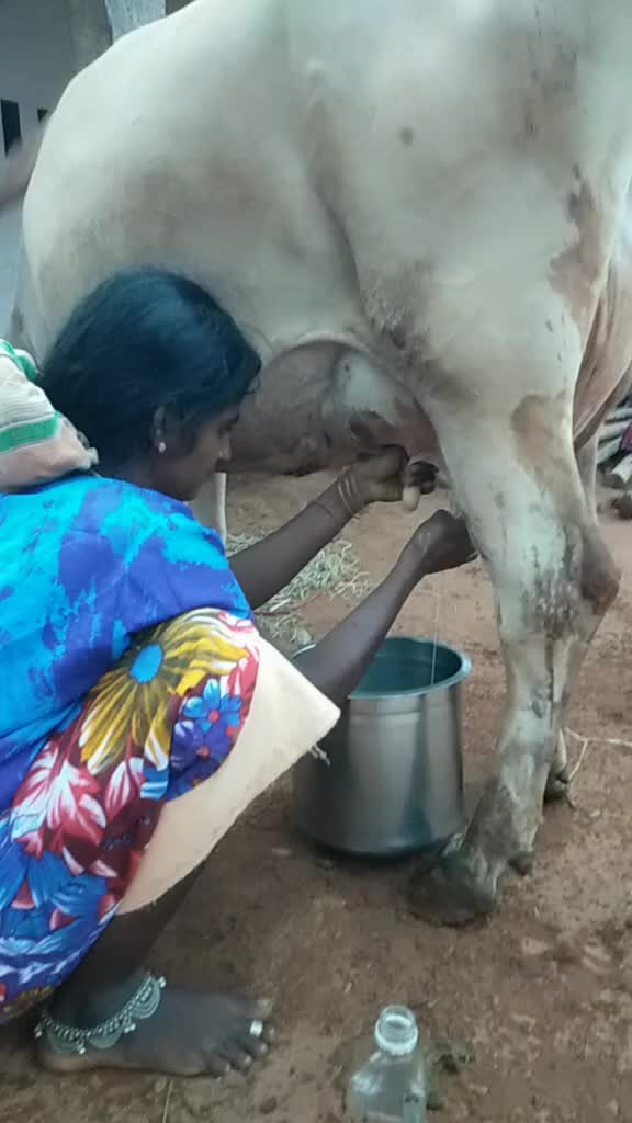 @ஆட்டோ சிவா திருப்பூr