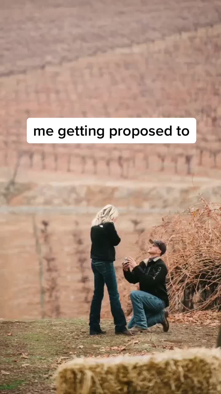 @🐮