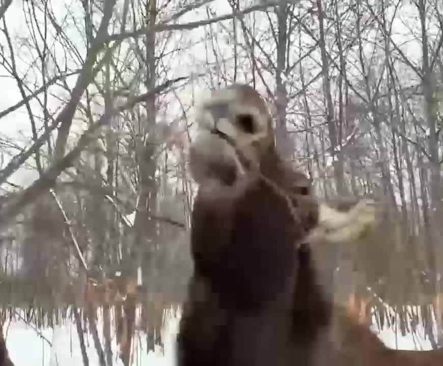 @Евгений Evgeniy