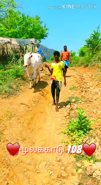 @கிருஷ்ணகிரிகாரன்டா☠☠