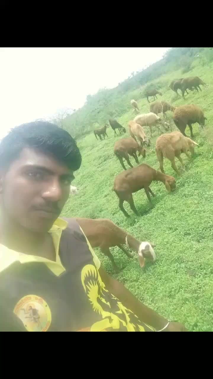 @ಶಿವ ಬಂಗಾರಿ