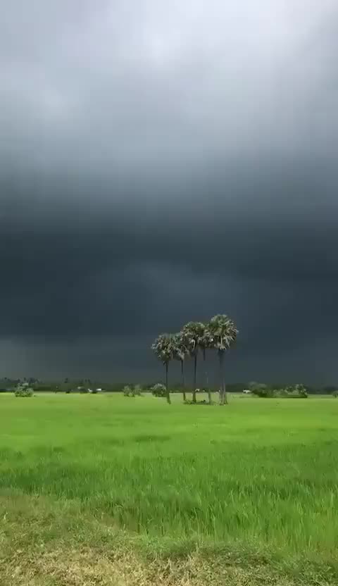 @standy_choreographer