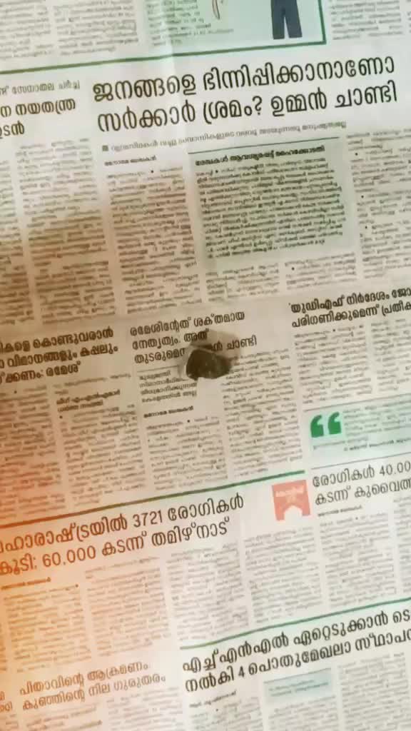 @sandra-chaandhu🐱🐱