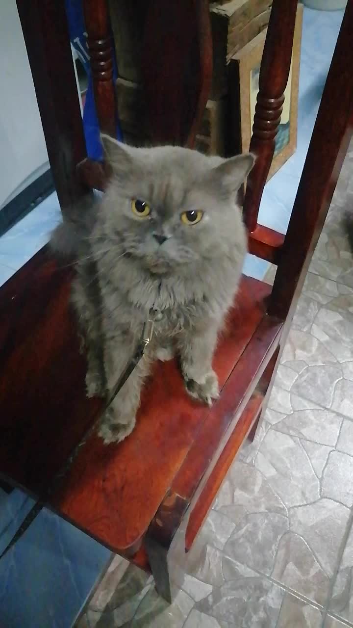 @คิดน้อย