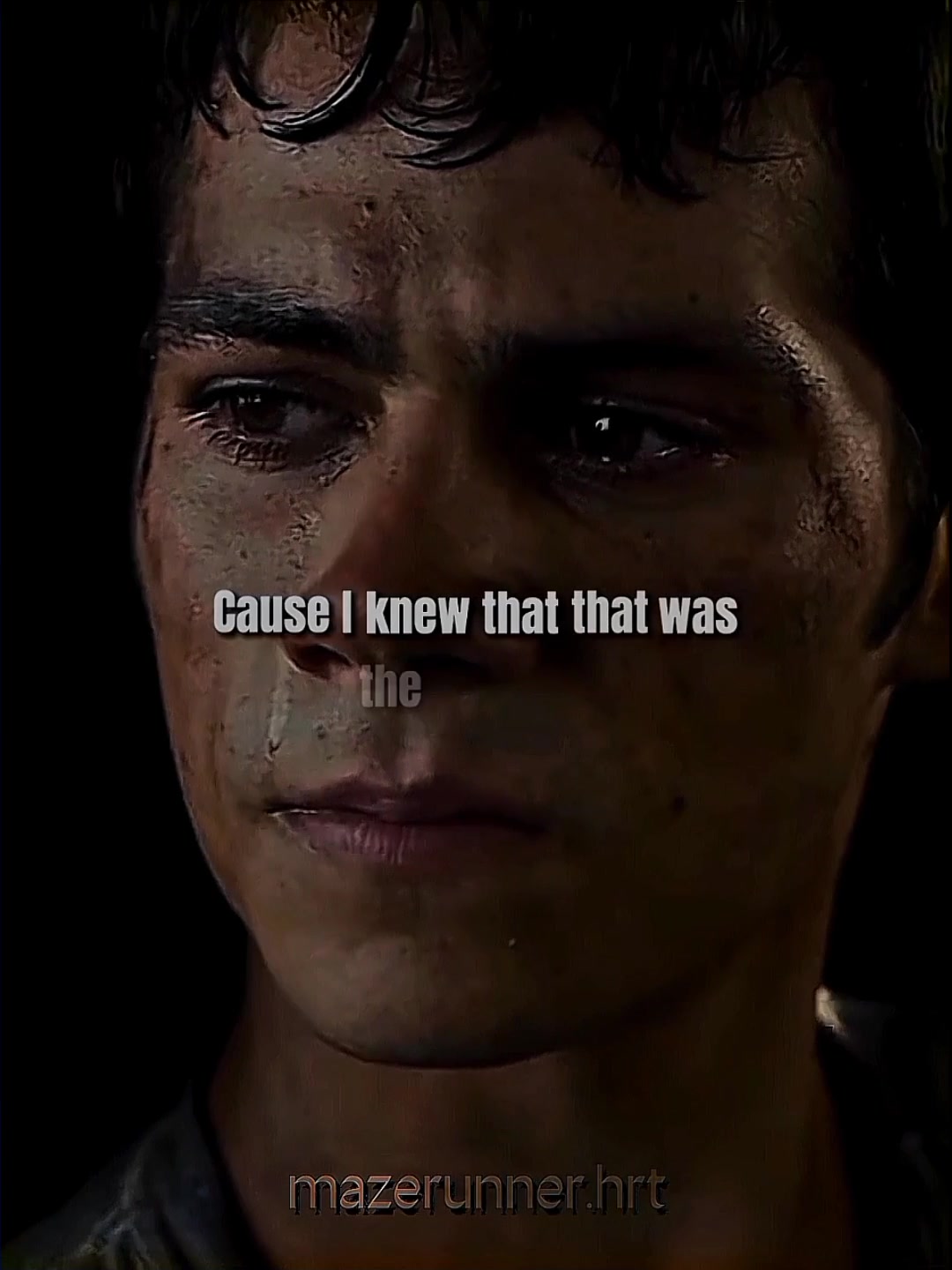@mazerunner.htr