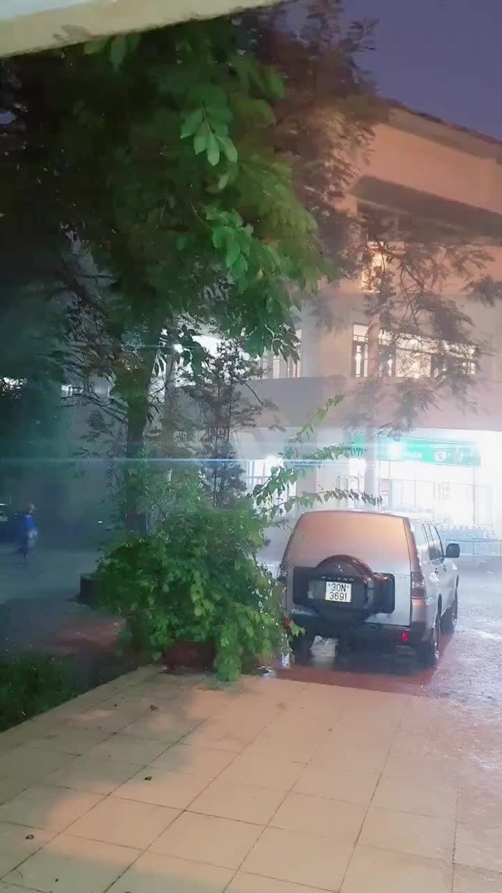 @Thanhmoon83✅