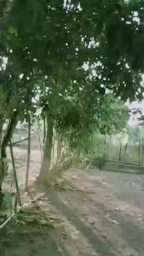 @Sintia