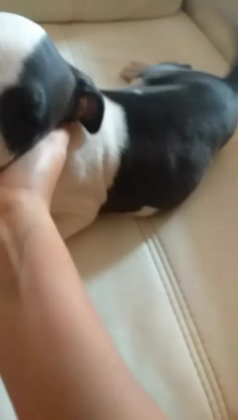 @user6334687859992
