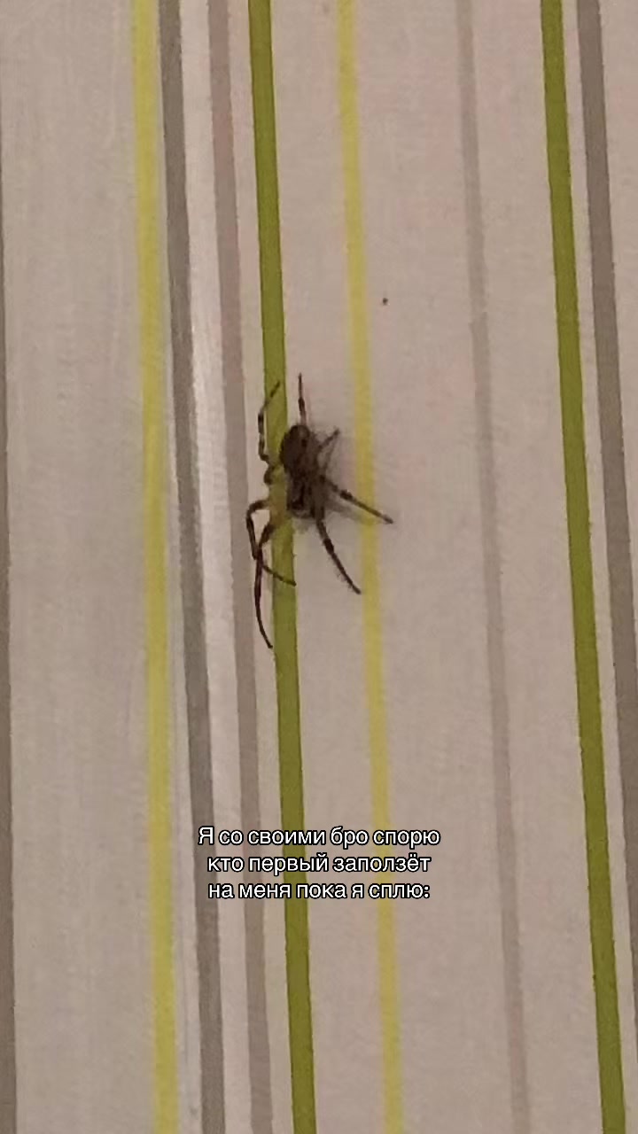 @Ярусик