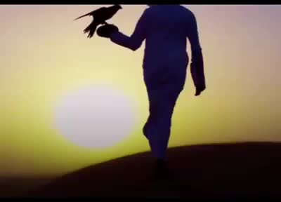 @Nefi Ali Khan