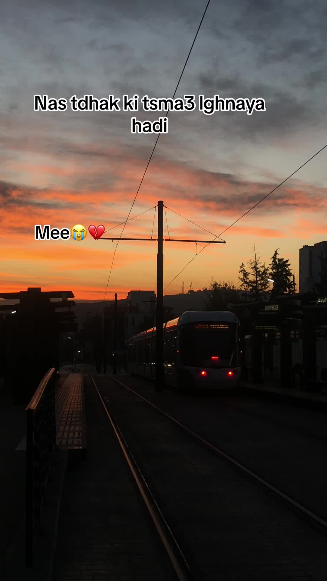 @🪩🧸