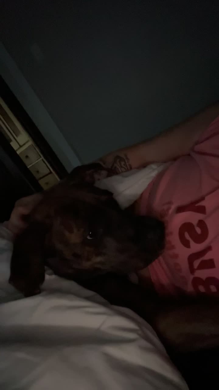 @kyleenmarie428