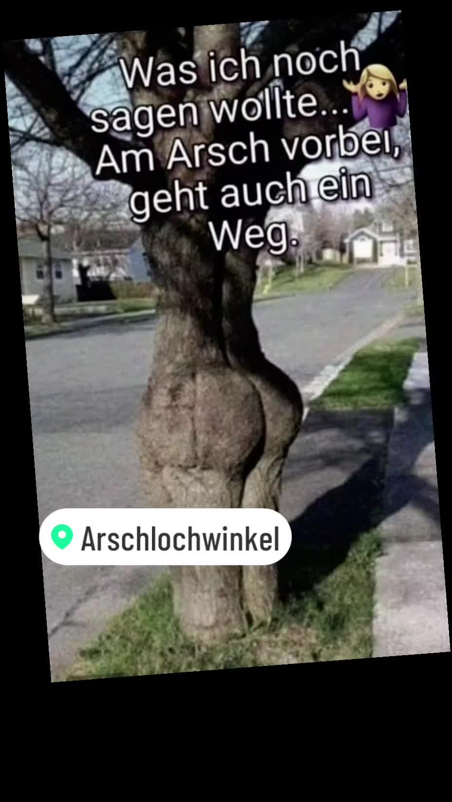 @Nessi