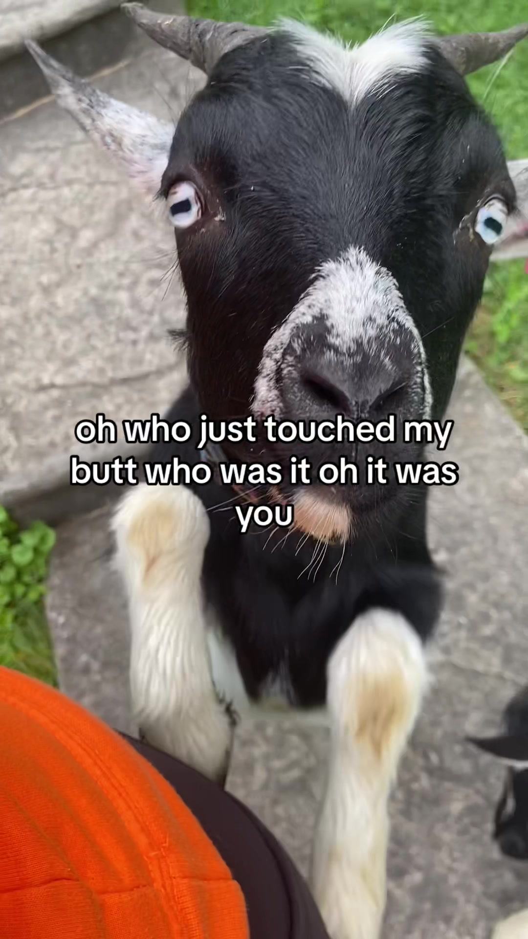 @suzy.strych9