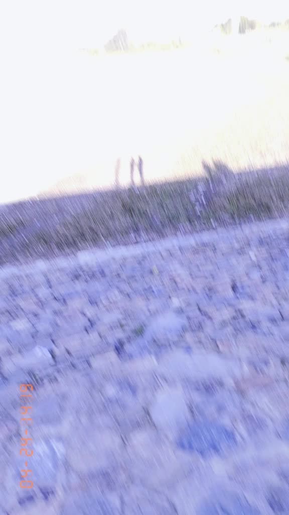 @𝗧𝗮ن𝘄𝗲𝗲𝗿 𝗔𝗵𝗺𝗮𝗱 🍁