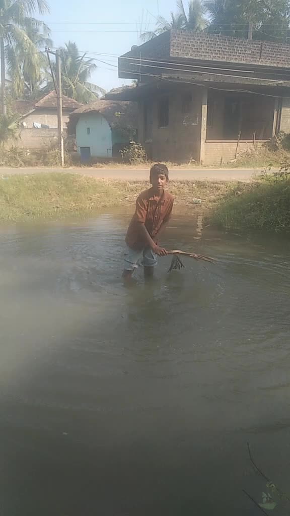 @bhanu p s p k