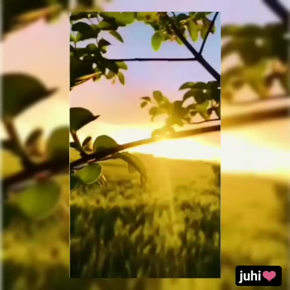 @`JUHI`๐