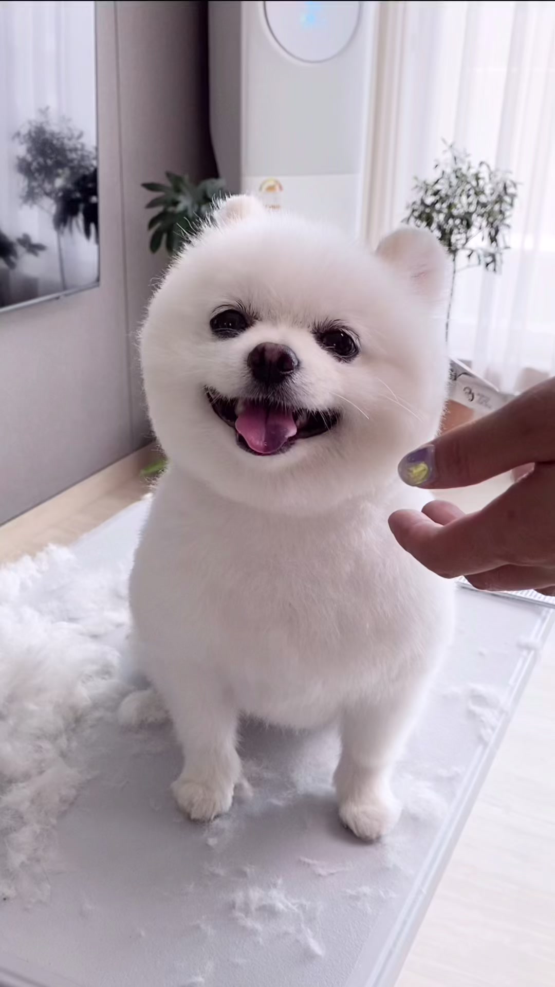 @권하리
