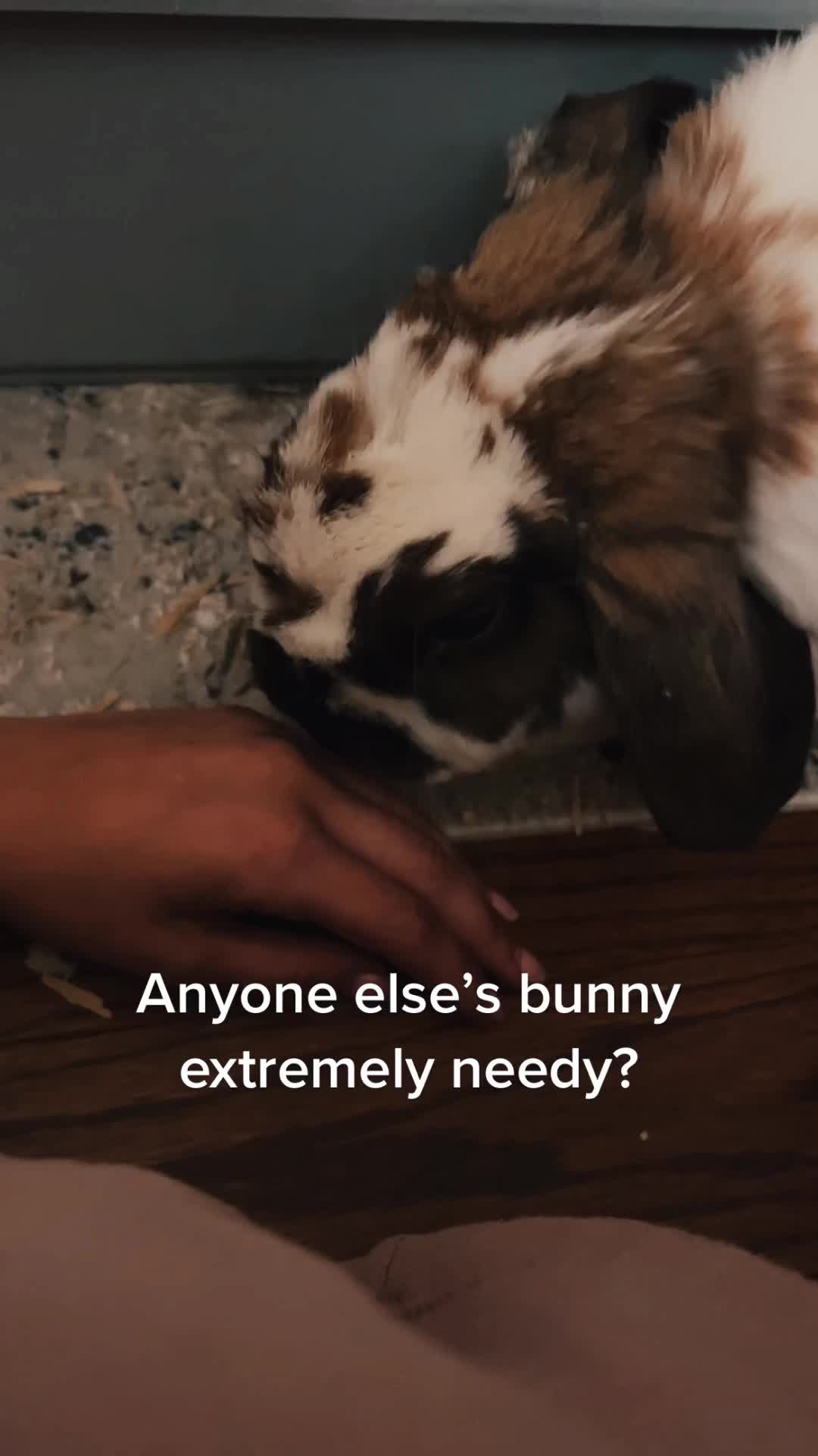 @CarolynKenney