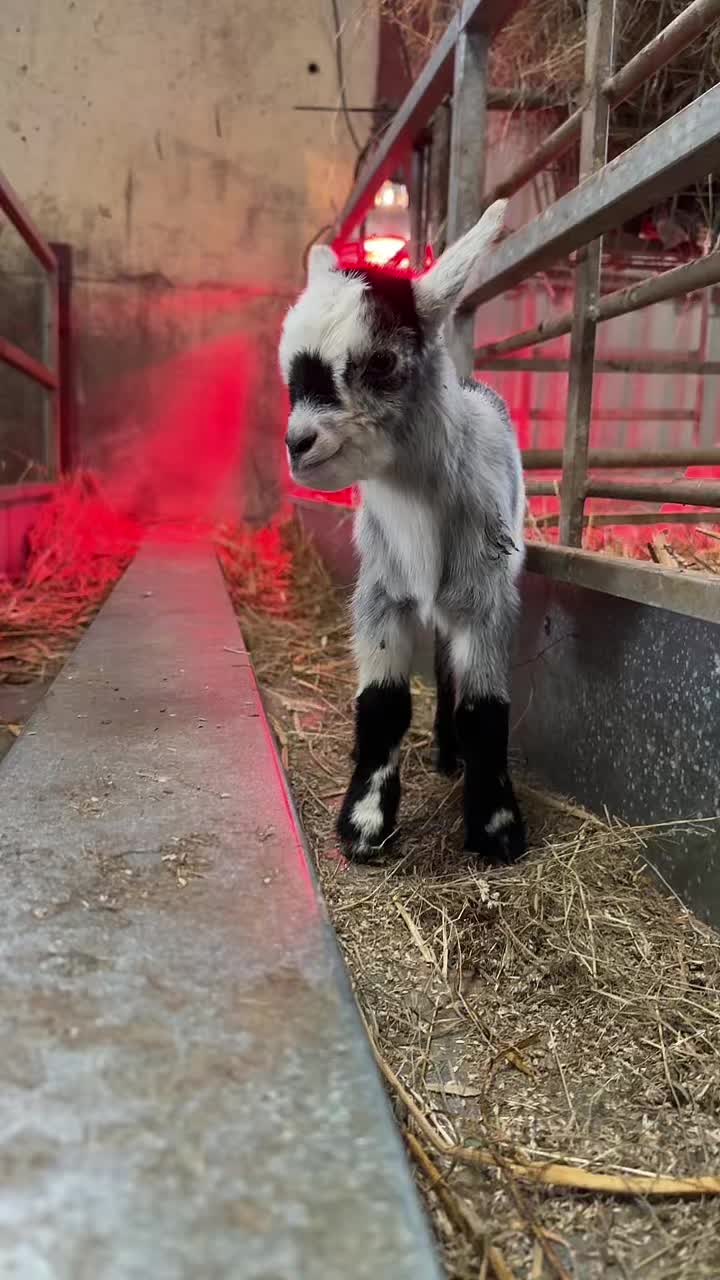 @Farming7744