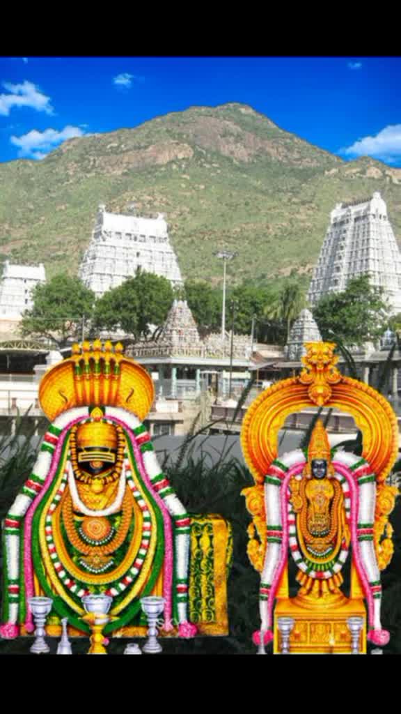 @ManiMani6798