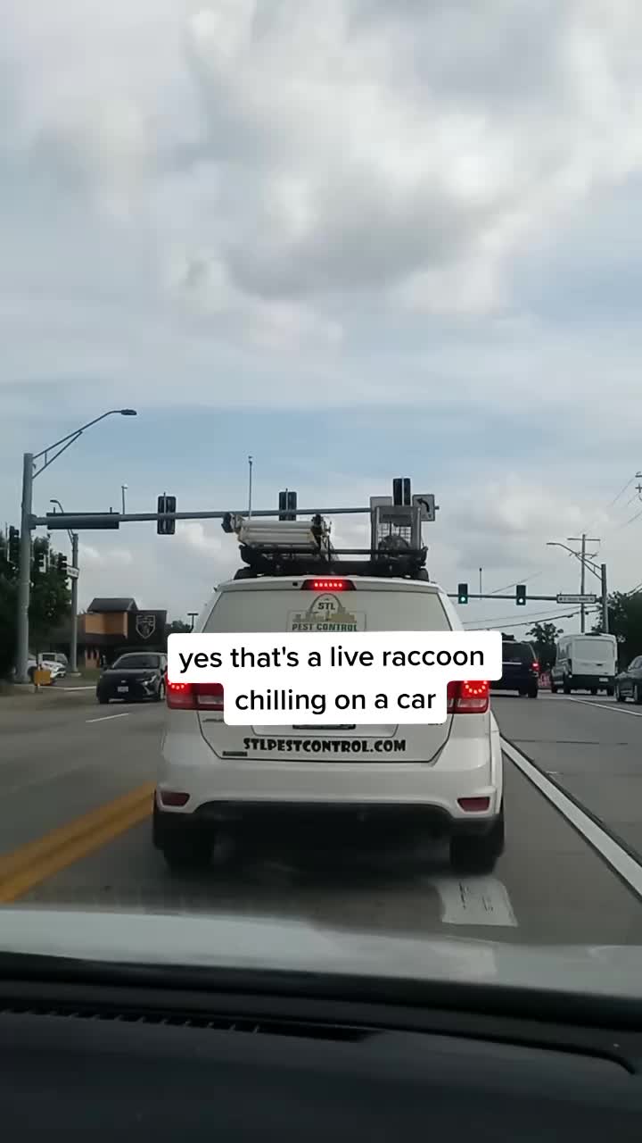 @JerrBear
