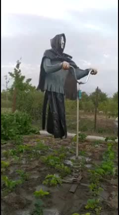 @Raju