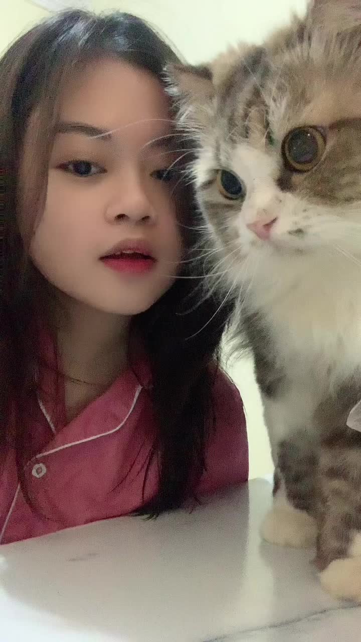 @Wollie & Lala