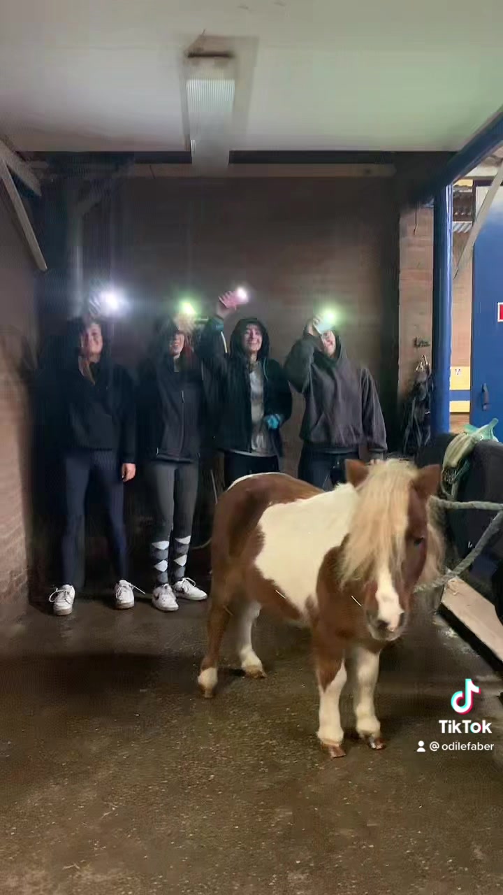 @De Hilversumse ponyclub