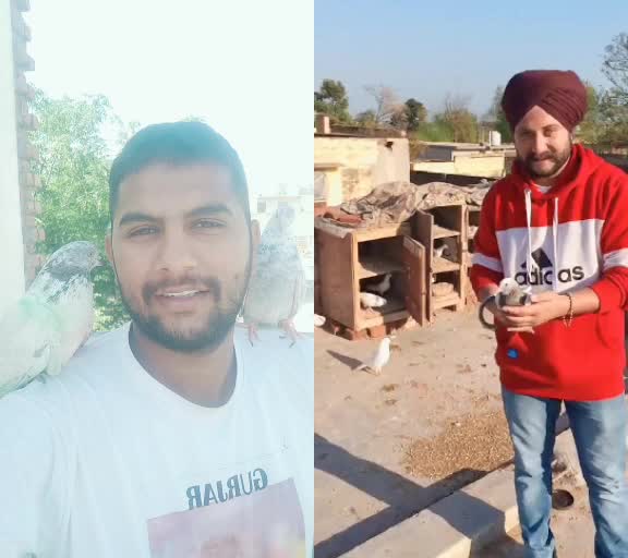 @Gurdeep Kasana