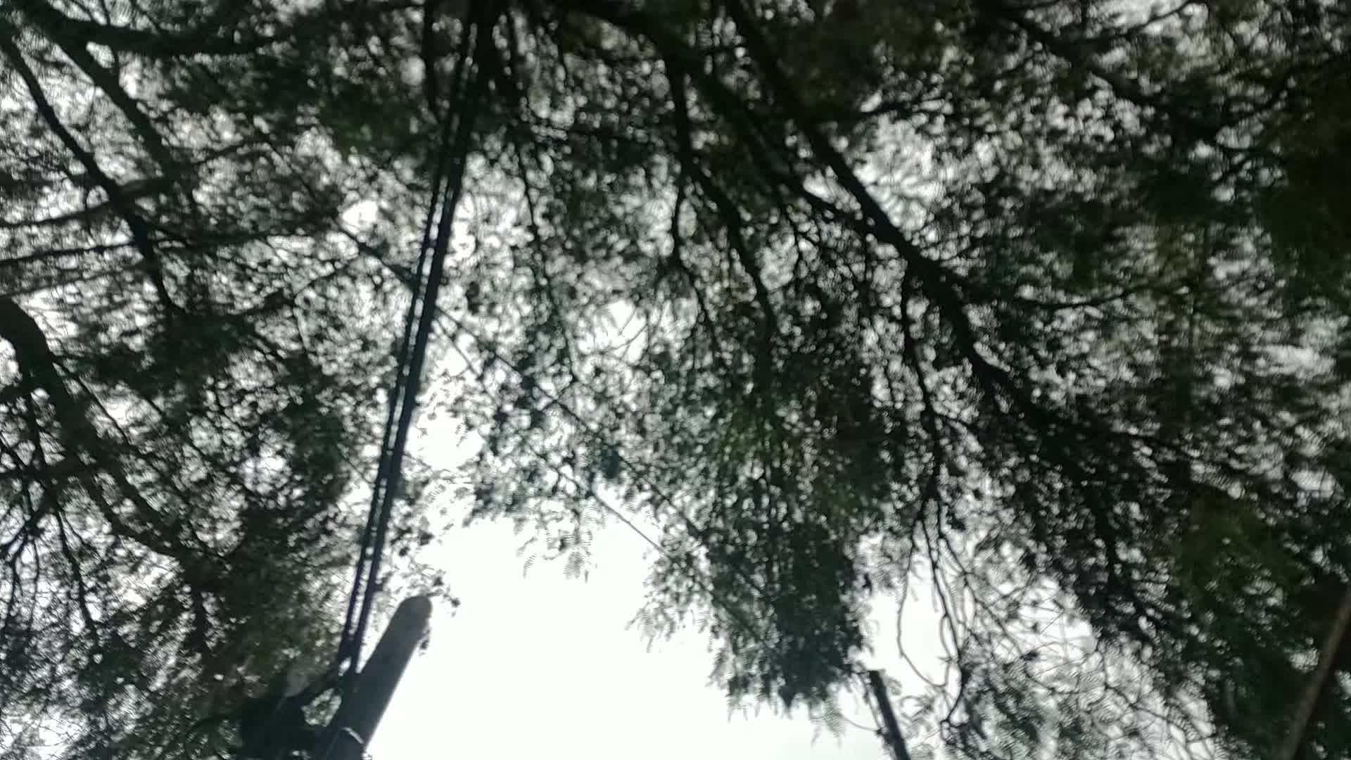 @Tlacuilo