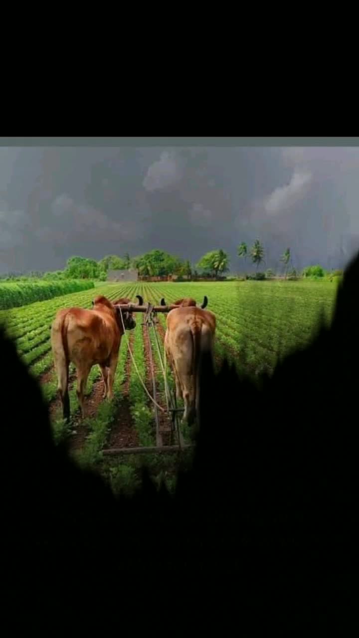 @Hardevsinh Rathod