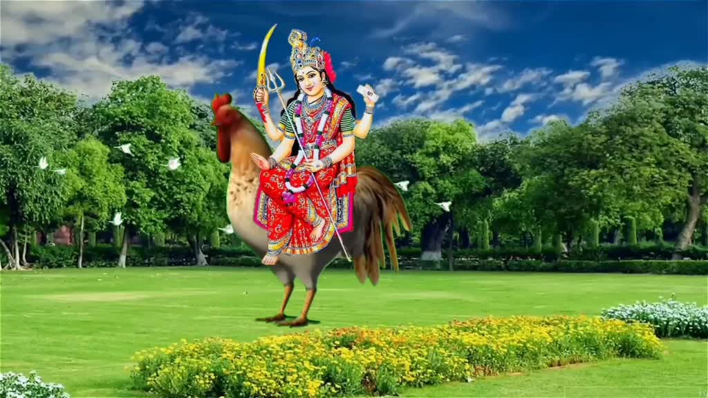 @Alpesh Rathod