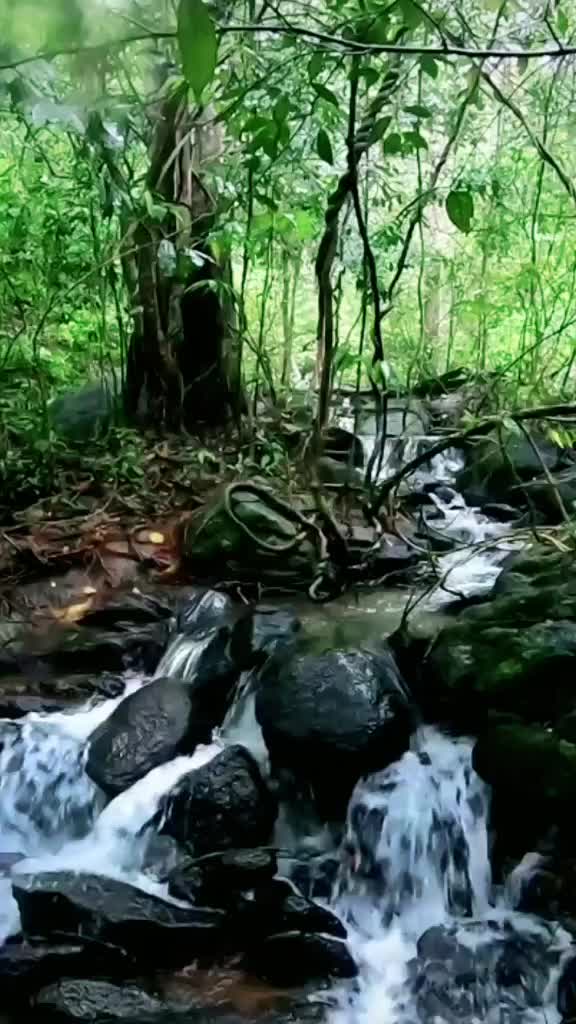 @തൃശ്ശൂർക്കാരൻഅച്ചായൻ