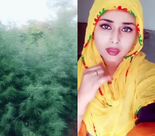 @Mohomad Istakhaar
